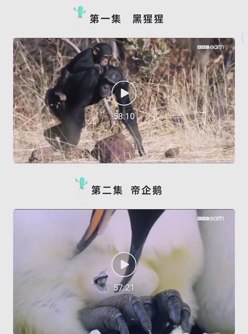 成人欧美一区二区三区黑人动态图的相关介绍