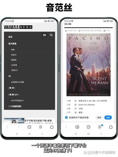 意大利av电影的相关介绍