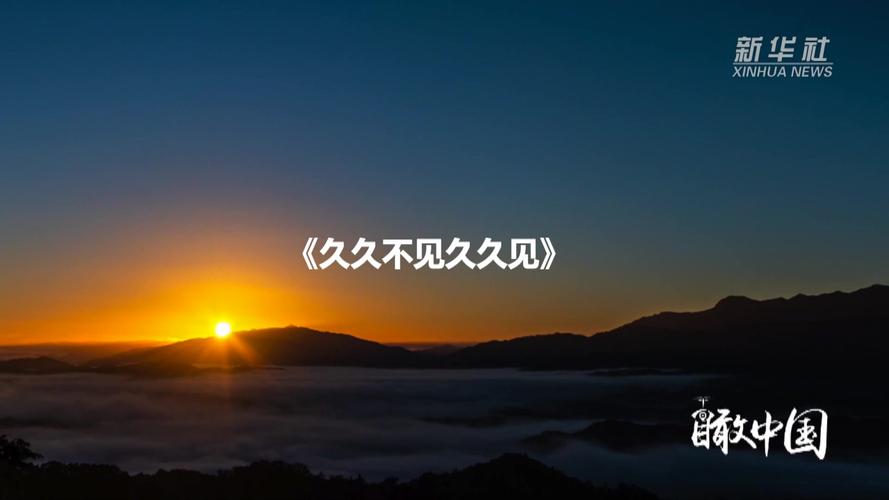 iidvd影院的相关介绍