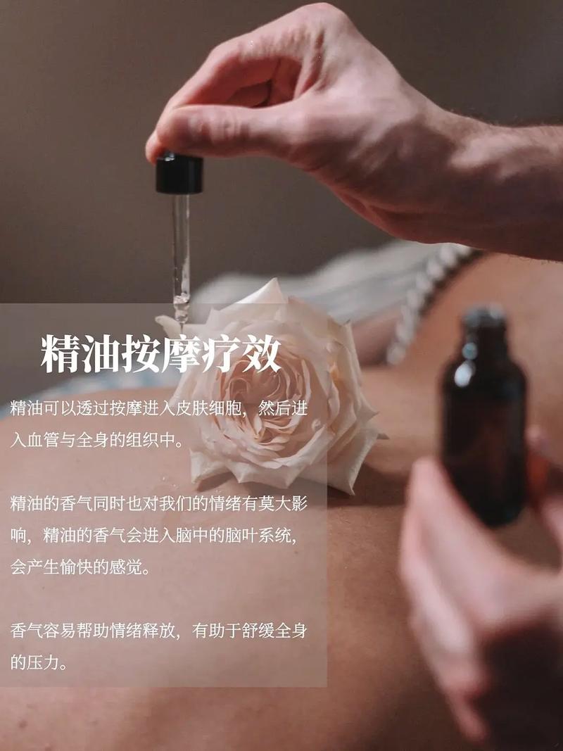 欧美艳星裸体图的相关介绍