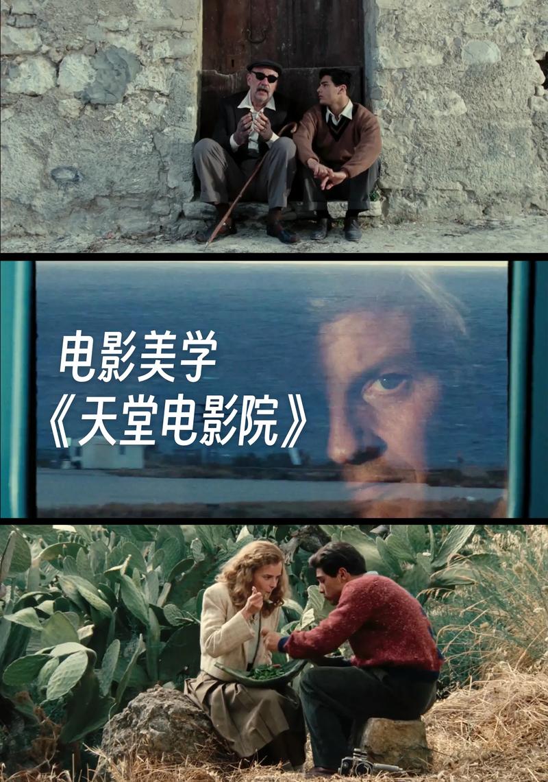 小七电影院的相关介绍