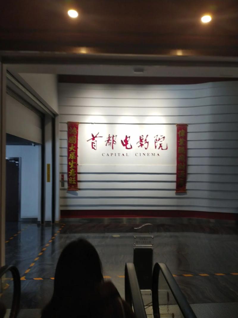 恋爱影院支持安卓手机视频uc的相关介绍