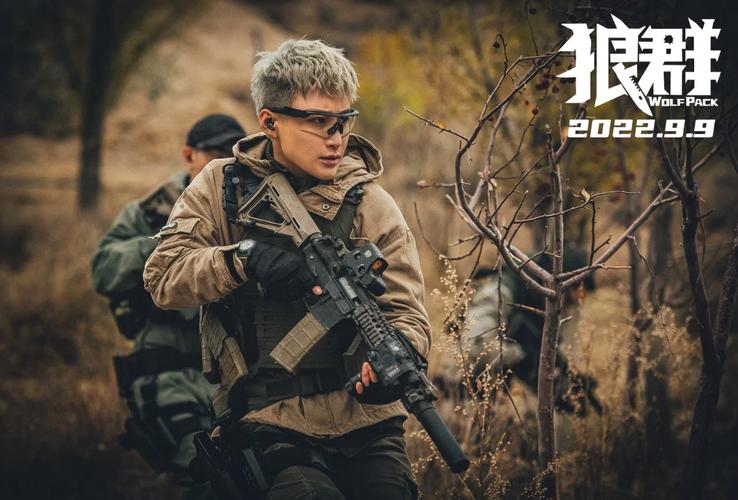 华夏影院的相关介绍