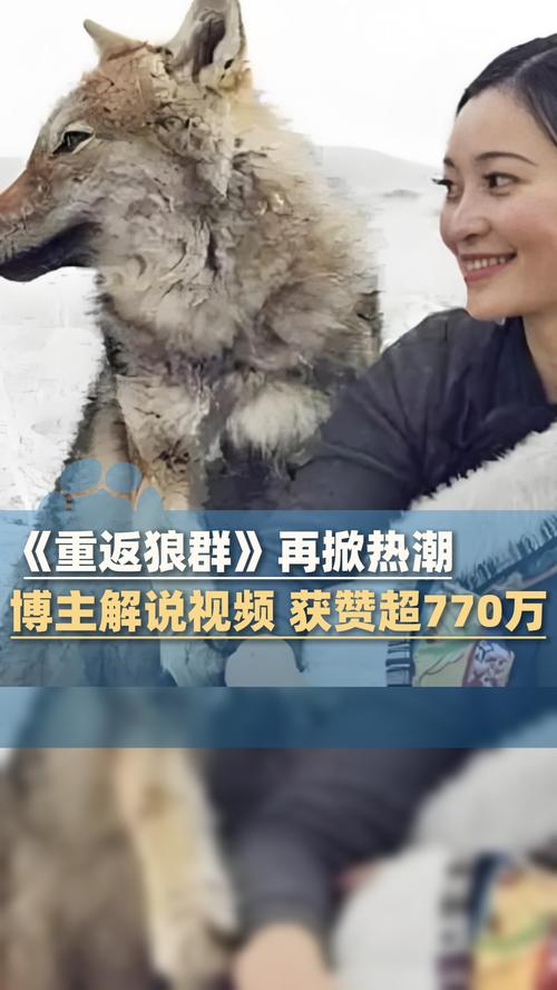 张雨绮被狂c躁到高潮小说的相关介绍