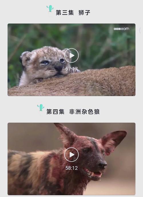 万达电影院的相关介绍