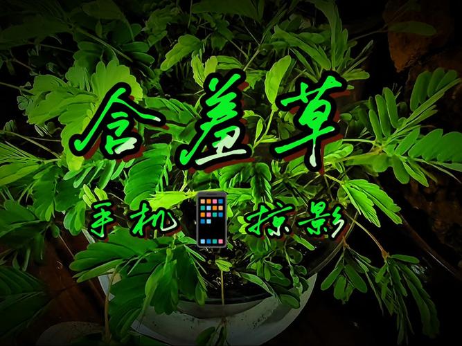 久久精品人妻少妇的相关介绍