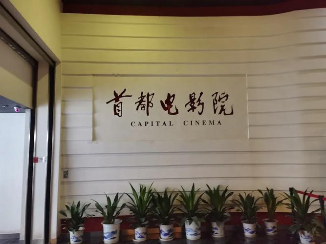 av 熟妇的相关介绍