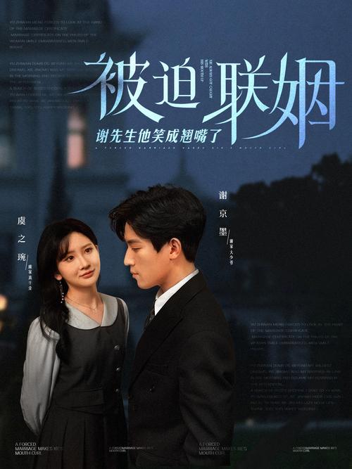 官场人妻系列小说的相关介绍