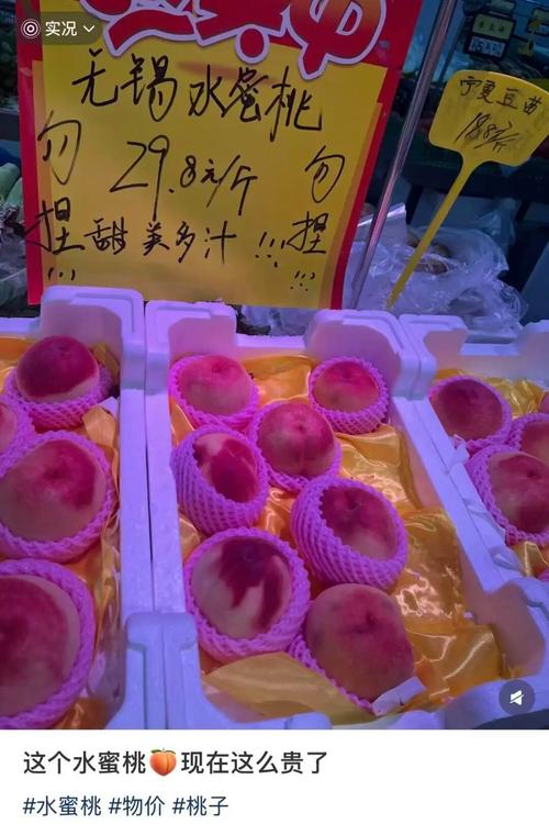 月光影院高清电影的相关介绍