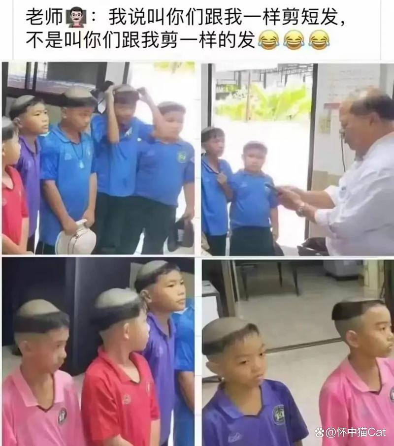 大地电影院的相关介绍