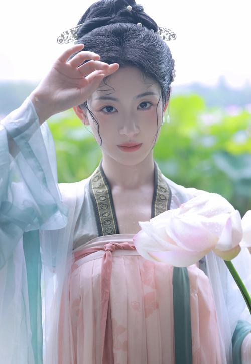 高清不卡码的相关介绍