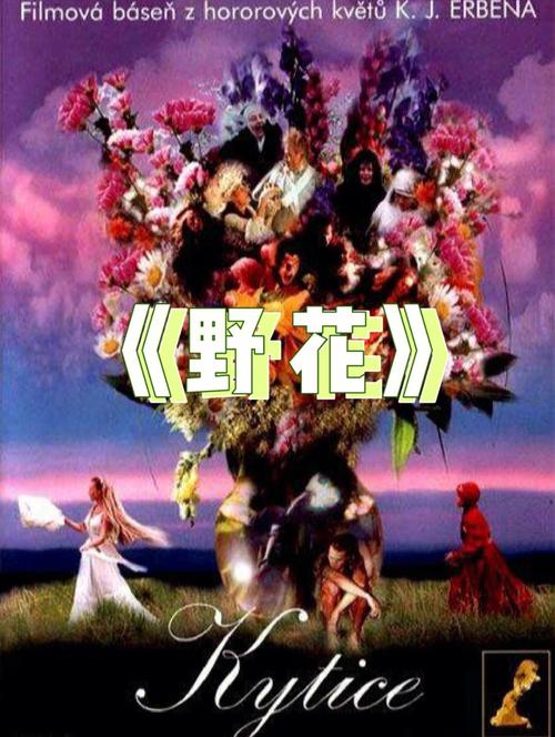 人妻视频啪啪的相关介绍