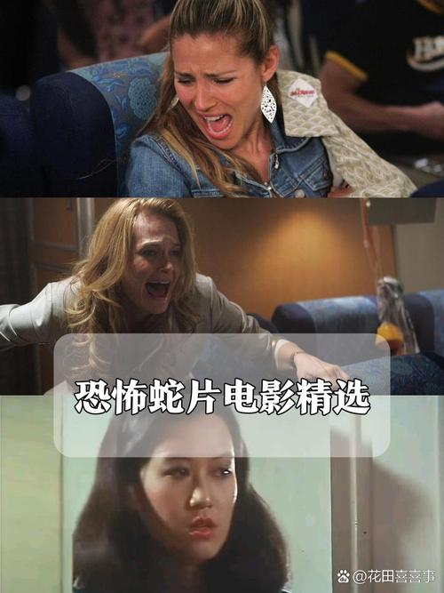 六六影院的相关介绍