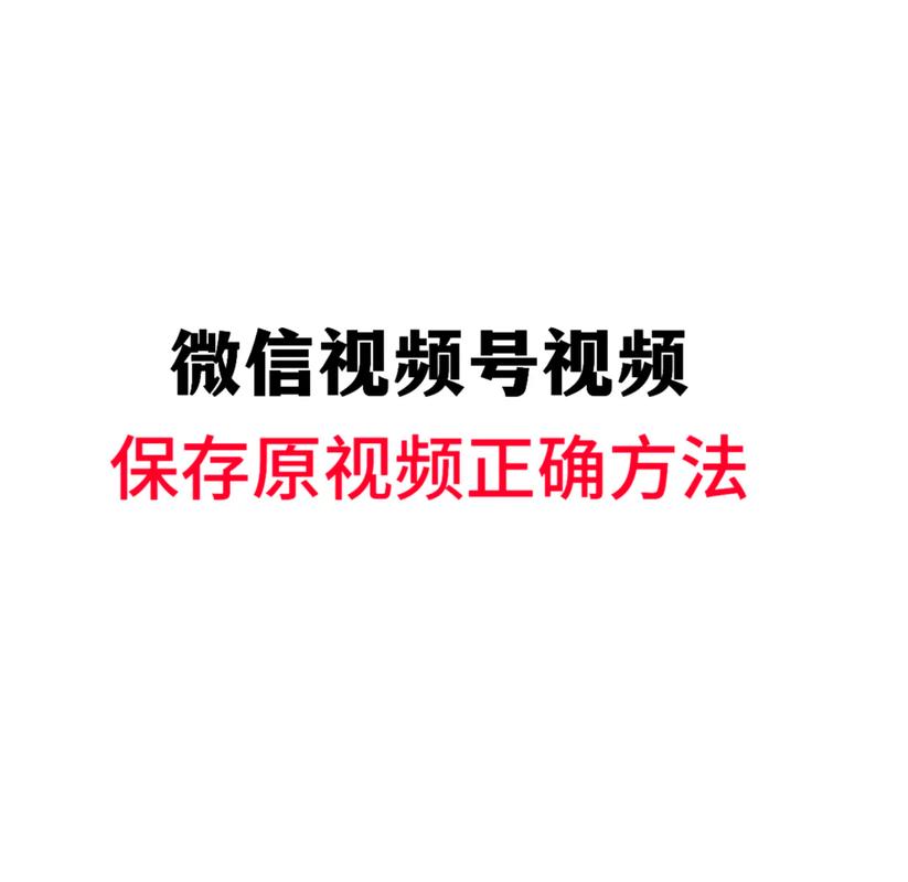 神马电影院老子午的相关介绍