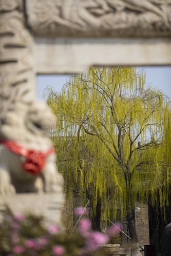 国产SE精品实战教程：手把手教你高效优化长尾关键词排名与流量提升