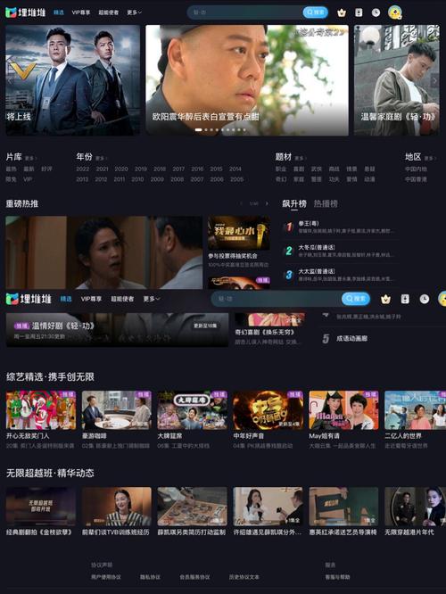 99久久精品国产91久的相关介绍