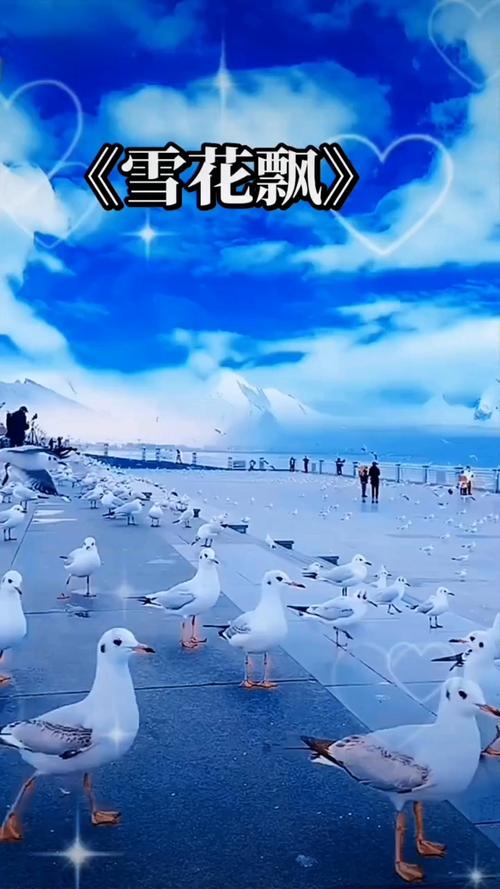 成人影院的相关介绍