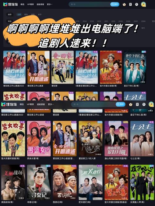 懂色婷婷国产精品的相关介绍
