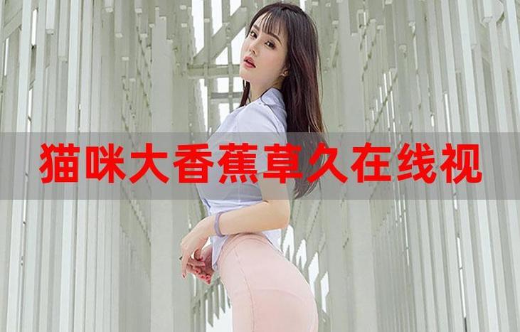 小老弟影院的相关介绍