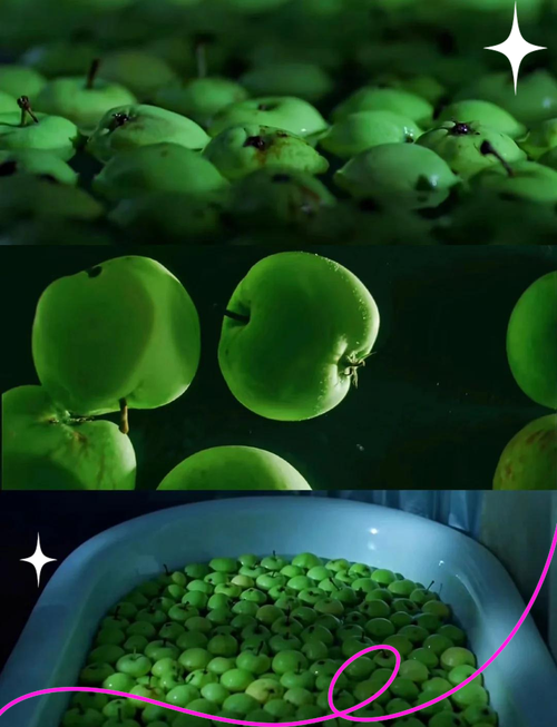 万全影院佗理片a1片的相关介绍