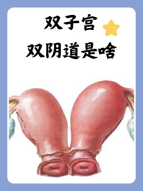 操出白浆视频大全的相关介绍
