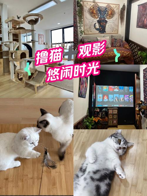 女人舔女人的逼的免费视频的相关介绍