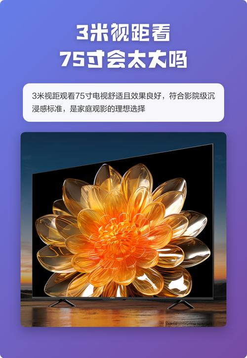 可以下载任何视频的app的相关介绍