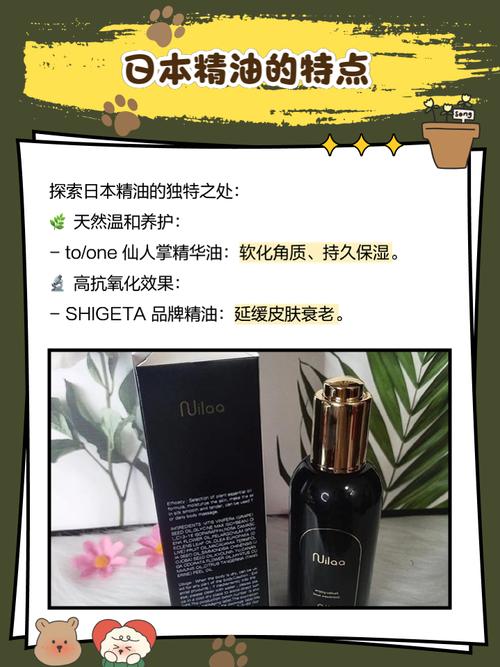老婆骚影院的相关介绍