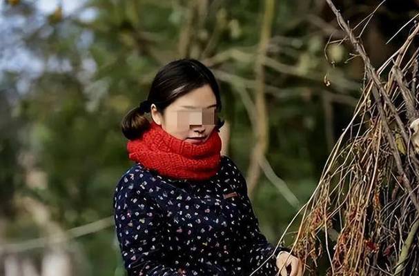 5d影院的相关介绍