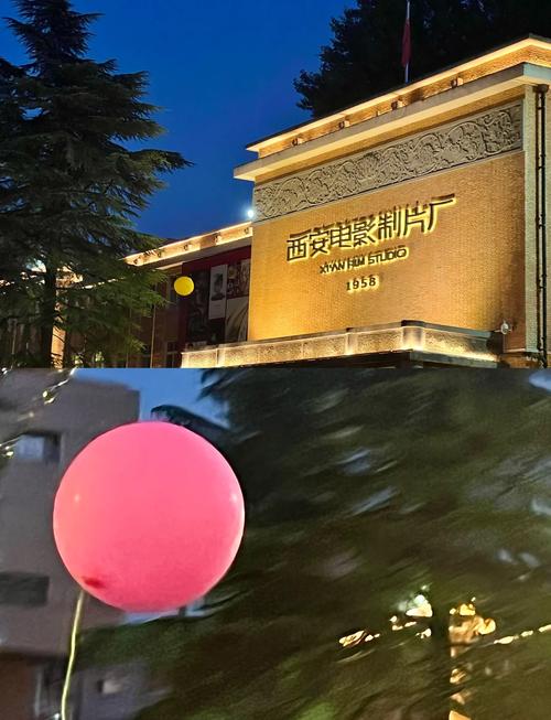 老师被我操爽了的相关介绍
