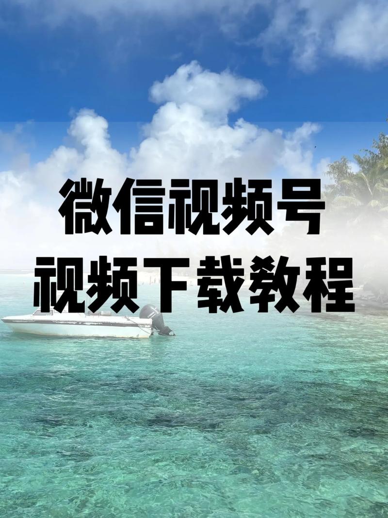 操人动漫的相关介绍