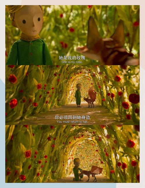 嫩草影院在线观看网站的相关介绍