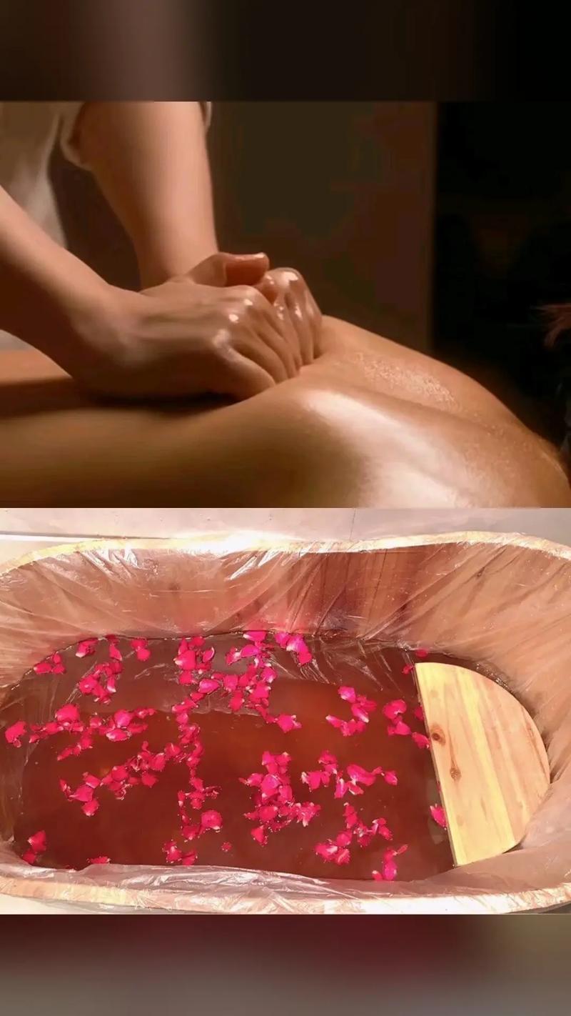 莉莉手机影院的相关介绍