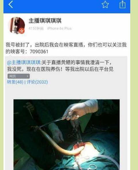 欧美一区二区不卡在线观看的相关介绍