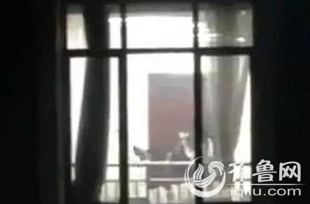 光棍影院手机版免费的相关介绍