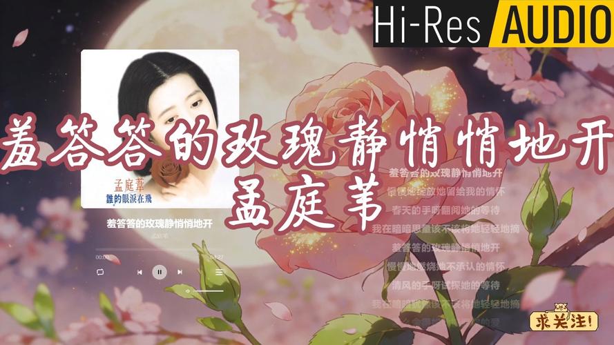 小木屋免费手机影院的相关介绍