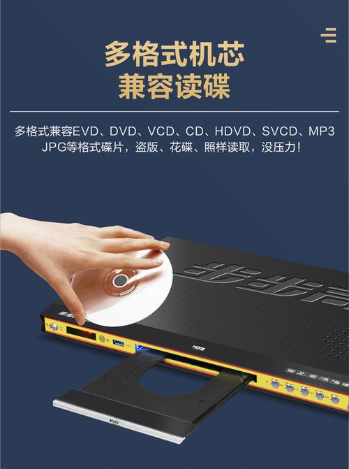 精品久久久是中的相关介绍